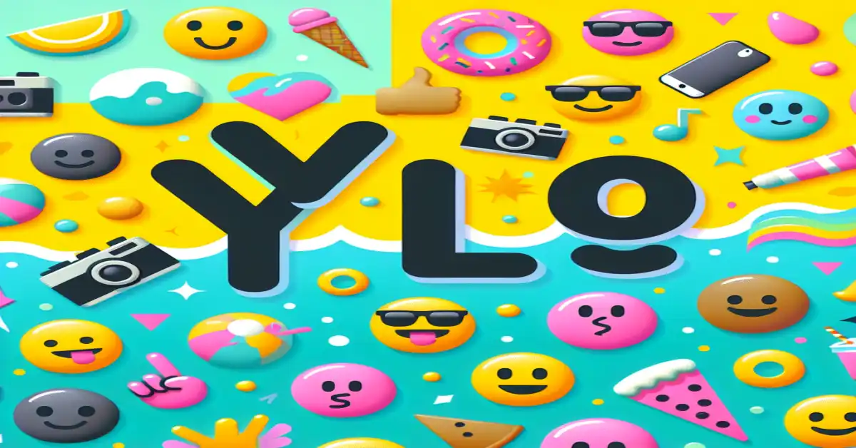 what does yolo mean in text